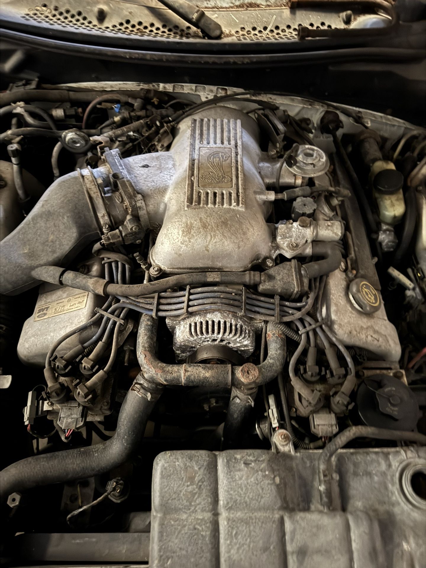 1998 Mustang Cobra 4.6 Engine
