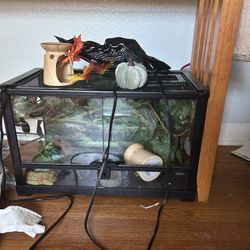 10 G Reptile Tank 