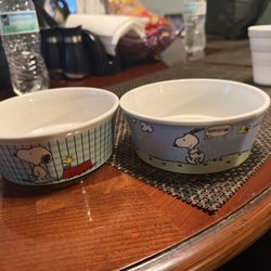 Dog Bowls 
