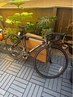 Scattante R340 "Full Monocoque Carbon" Road Bike