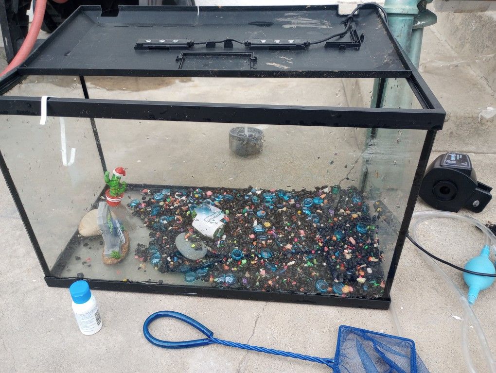 2 1/2 Gallon Aquarium, Comes With Everything You See In The Photo Asking For $25