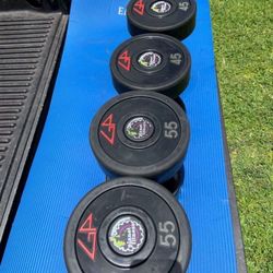 Commercial Gym Rubberized Dumbbells 