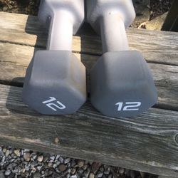 12 Lb Dumbbells 