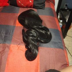 Wig