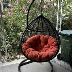 Egg Shaped Hanging Swing