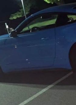 Mustang quarter panel