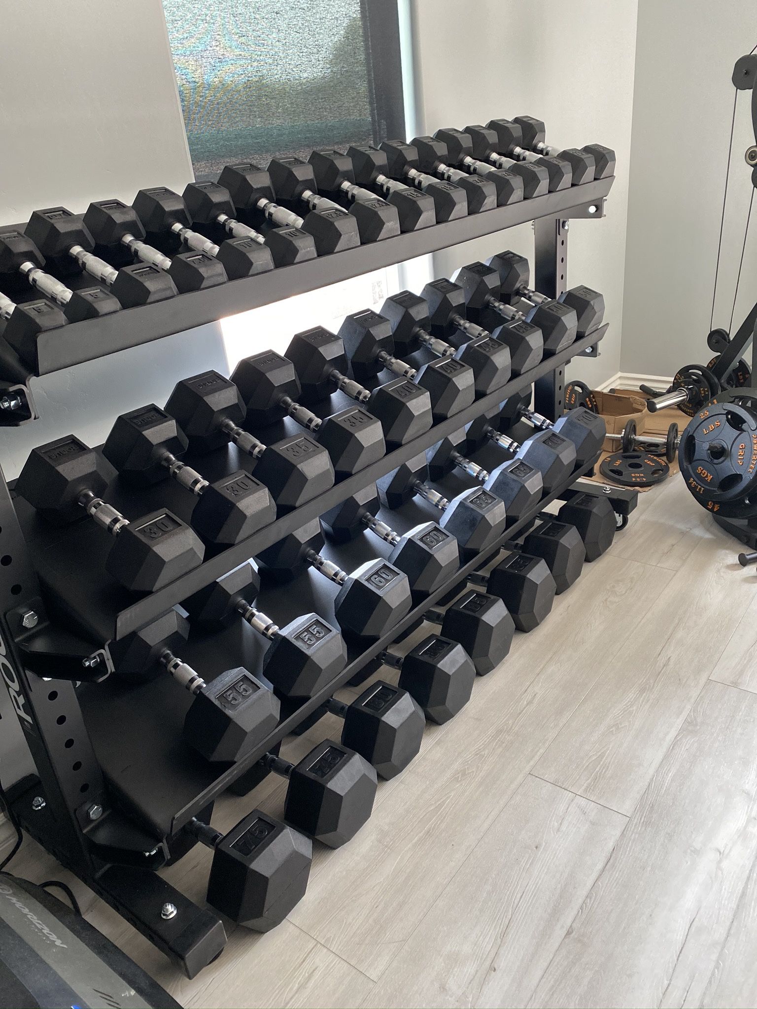 Rogue dumbbell Set 5Lbs To 90 Lbs With Rogue Rack 
