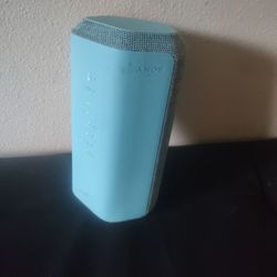 Sony Speaker X300