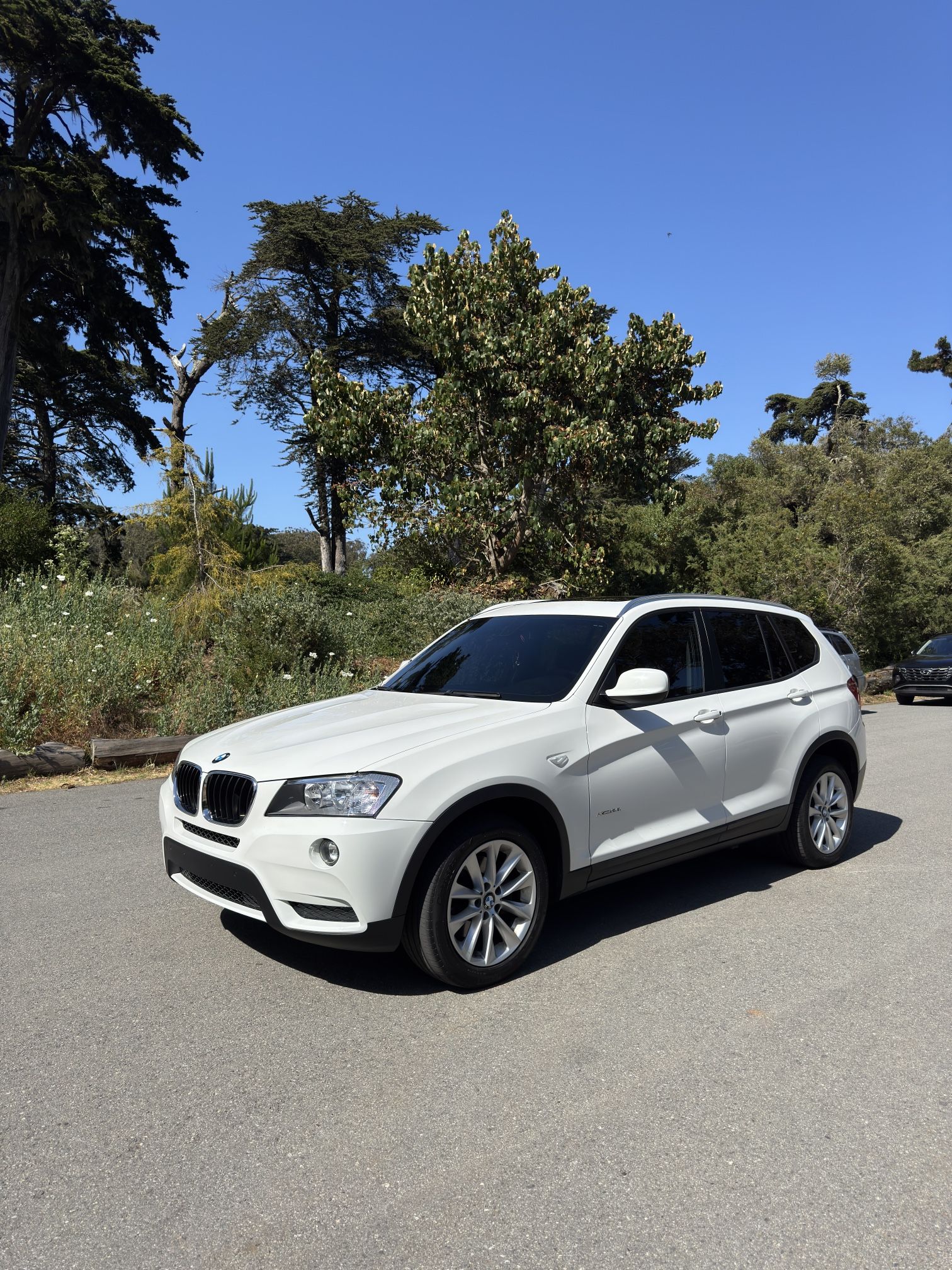 2013 BMW X3