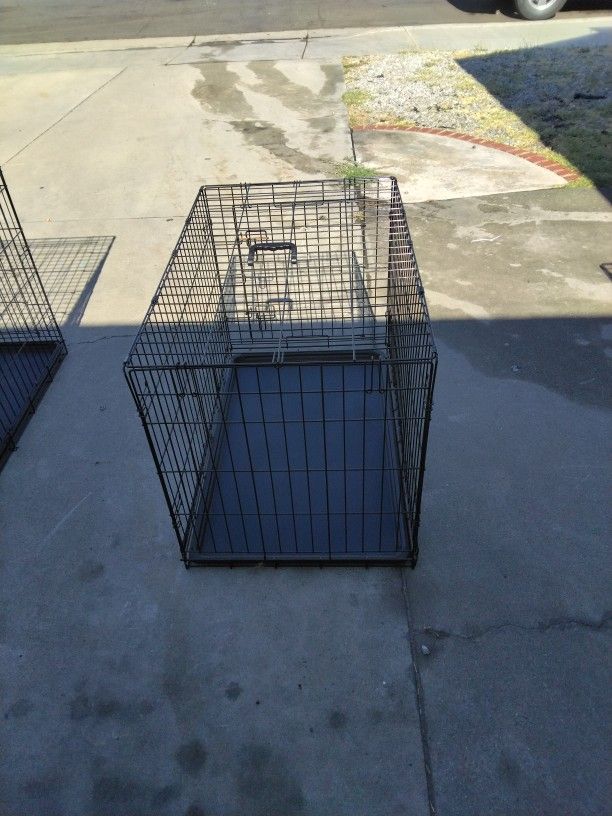 Large Dog 🐕🦺 Crate