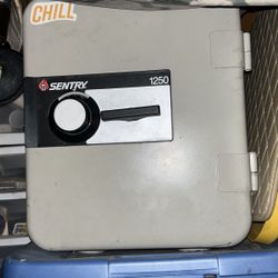 Sentry Fire Safe 1250
