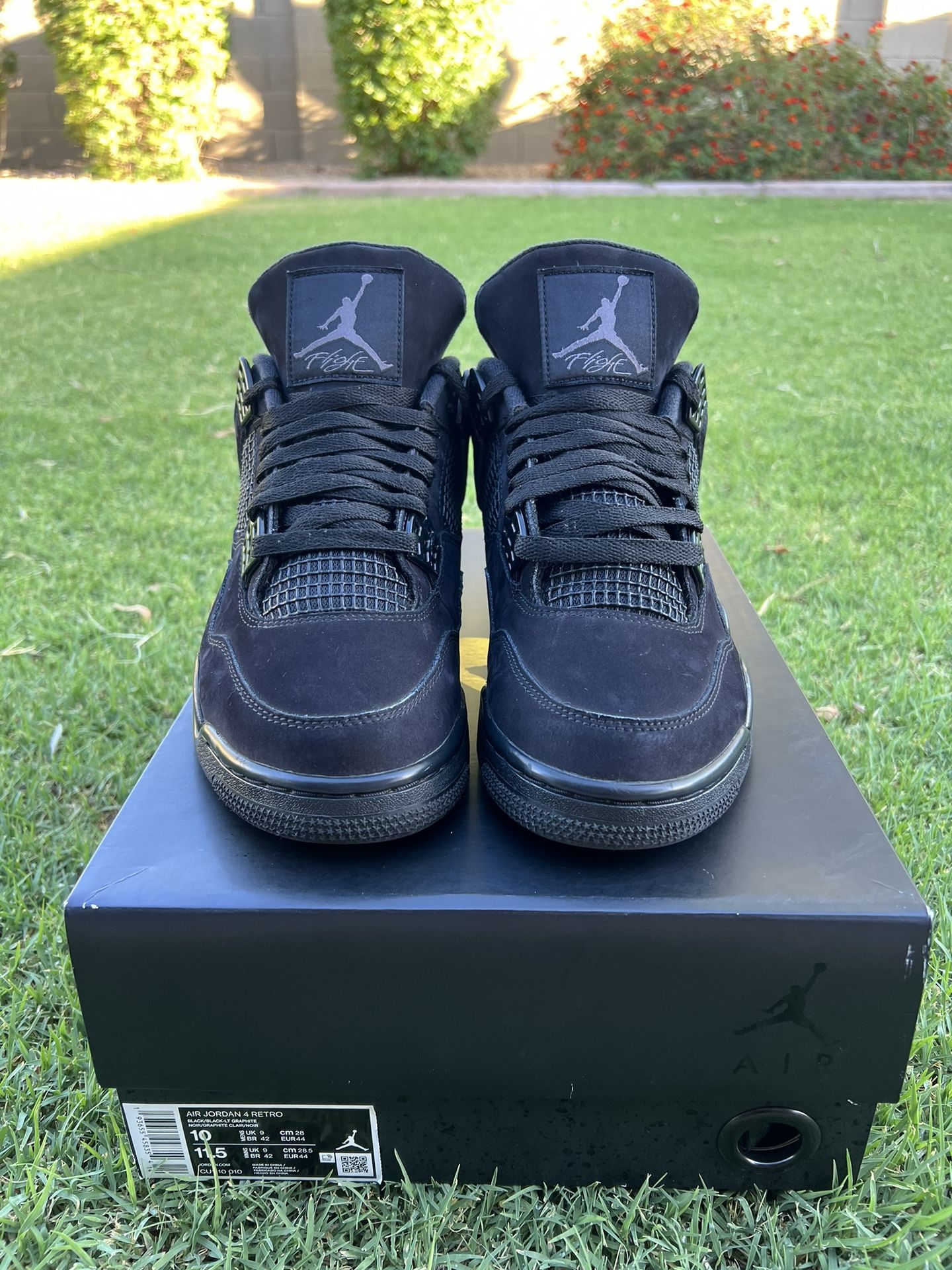 Jordan 4's Black Cats for Sale in Phoenix, AZ - OfferUp