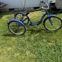 Schwinn Meridian Tricycle