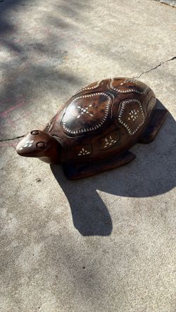 abalone turtle