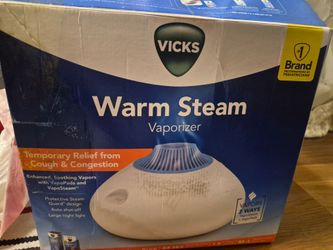Warm steam vaporizer