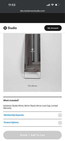 Moving Sale: Lululemon The Mirror