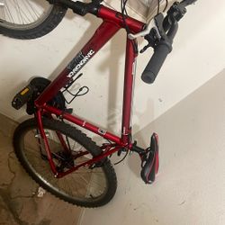 Diamond Back Large Frame  Super Clean