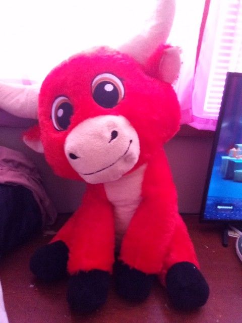 Stuffed Animal To