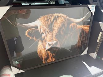 Highland Cow Framed Wall Decor
