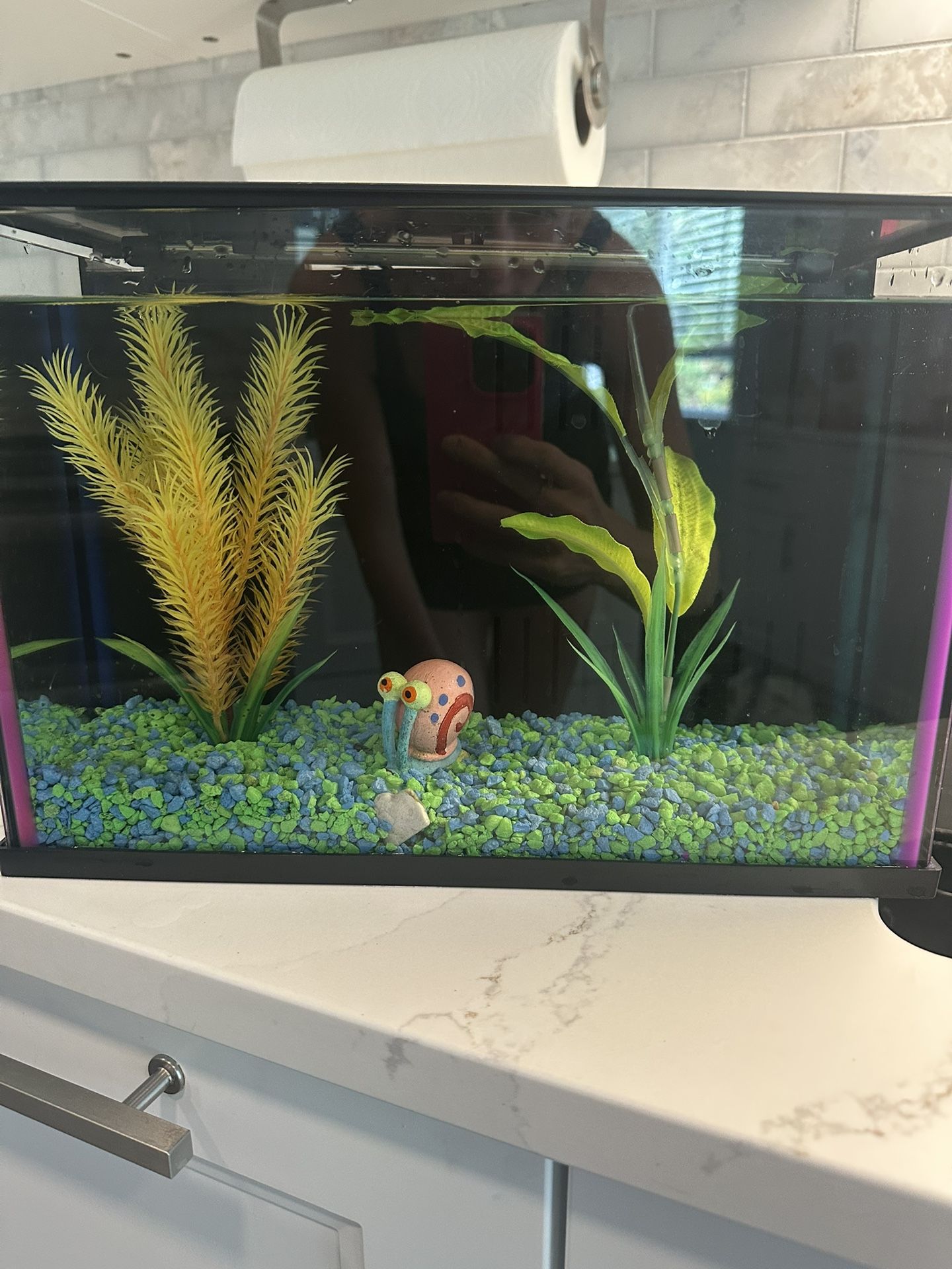 3 Gallon Fish Tank 