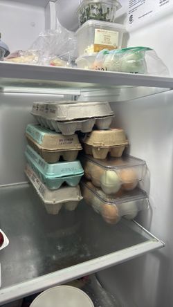 Farm Fresh Eggs