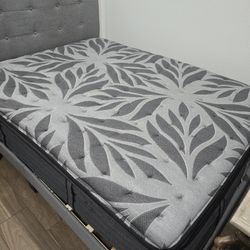Queen Bed