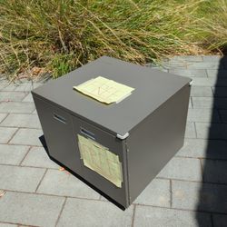 Metal Rolling Cabinet - Free