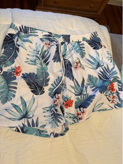 Men’s Bathing Suit