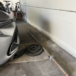 Barbell With Weights 