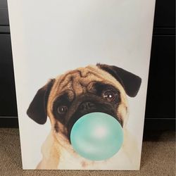 Pug Bubble Gum Bubble wall art canvas