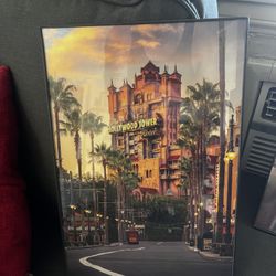 Framed Disney World Photography 