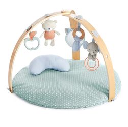 Injenuity Activity Gym and Play Mat