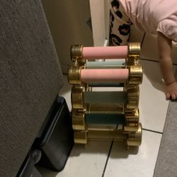 Moving Sale !!!!  Blogilates Weights and Rack Set