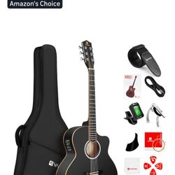Electric Acoustic Guitar 