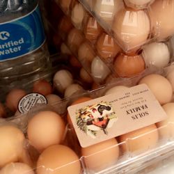 Fresh Organic Fed Free Range Farm Eggs