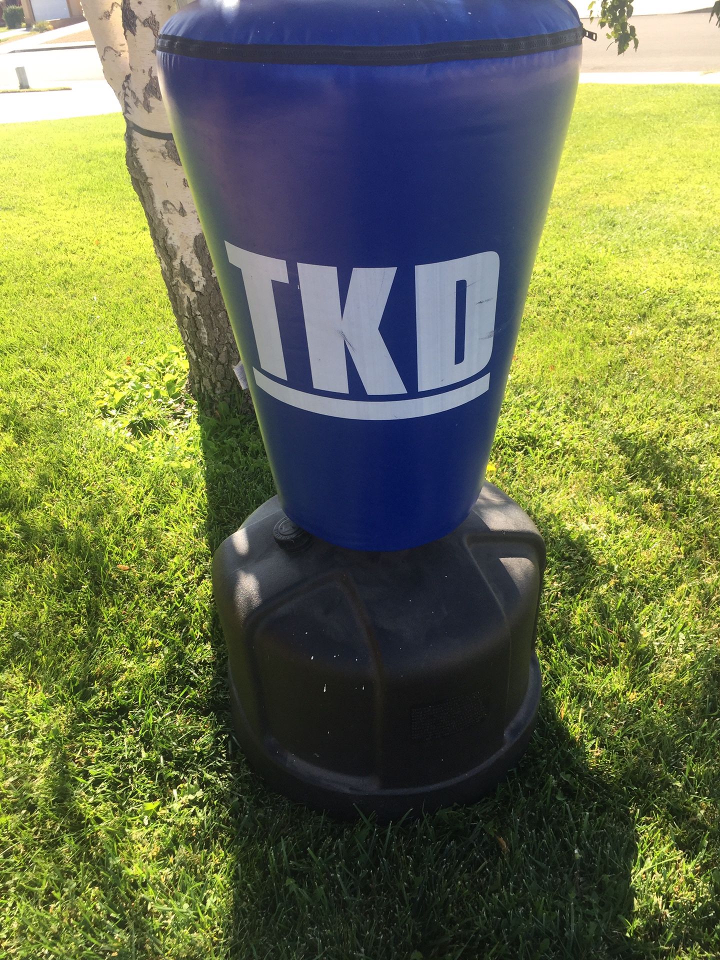 TKD punching bag , excellent Condition, $50 Deliver Available
