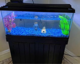 35 gallon fish tank w stand and LED lights