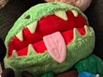 Large Collection of Stuffed Animals