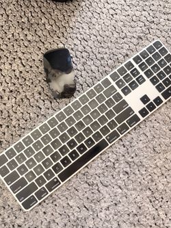 Apple Keyboard and Mouse