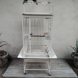 Bird Cage 