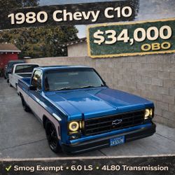Chevy Truck / 1980 C10 Pick Up 