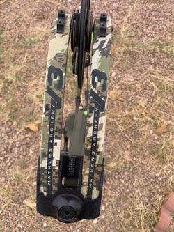 Mathews v3 31"
