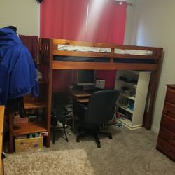 Bunk Beds Wood Stained