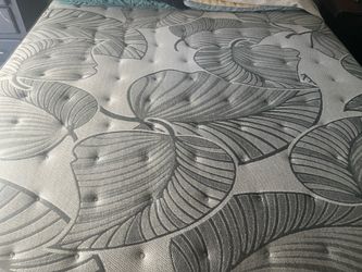 King size bed frame and mattress