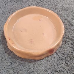 New 5" Ceramic Reptile Food Water Dish