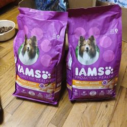 IAMS Proactive