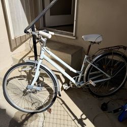 Schwinn Beach Cruiser