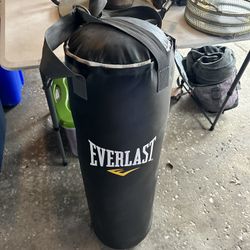 Everlast 40lb Punching Bag