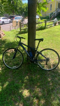 Bicycle Schwann