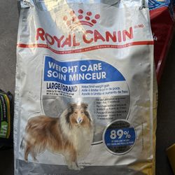Dog Food 